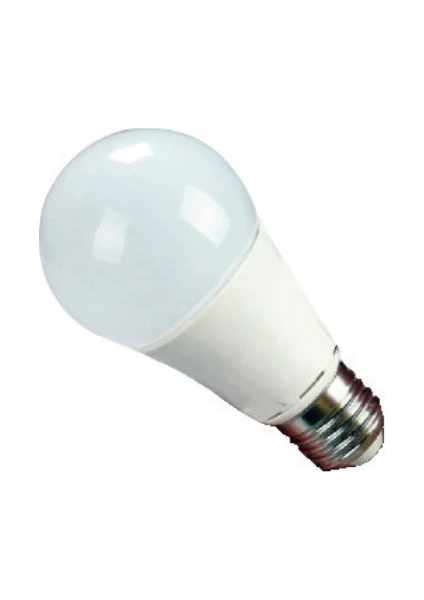 Osaka Light LED 100 E27 12W A60 LED Ampul Günışığı