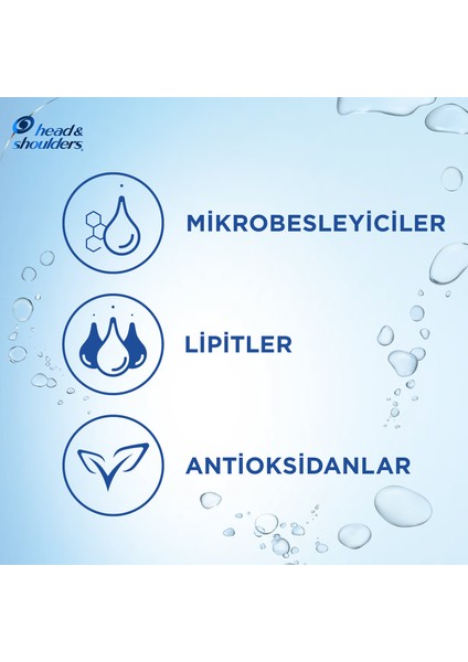 Head & Shoulders 2'si 1 Arada Şampuan Saç Dökülmelerine Karşı 350+350 ml