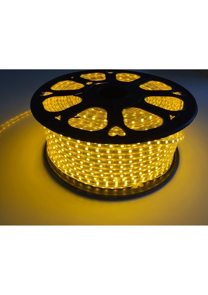 Şerit LED Hortum 3 Çip Dış Mekan Smd LED Mavi Renk 5 m + Fiş
