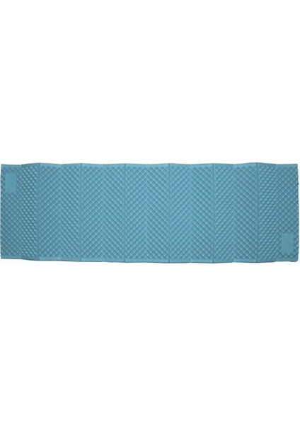 Akordiyon Mavi Mat HUSCAM2HD 8253