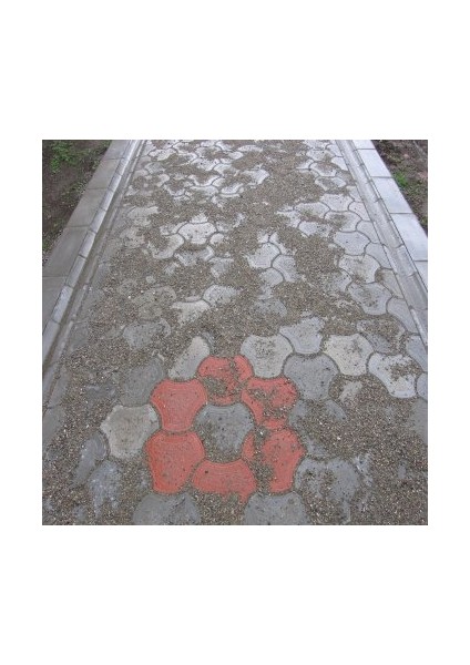 Dekoratif Plastik Parke Taşı Kalıbı Tekli Deniz Anası Yarım 45 cm 10'lu