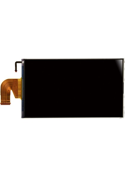 Switch LCD Ekran
