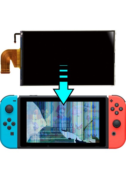 Switch LCD Ekran