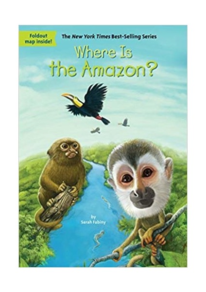 Where Is The Amazon? - Sarah Fabiny