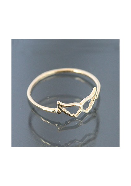 Altınsepeti Feriha Melek Kanatlı Altın Yüzük AS16YZ fiyatları