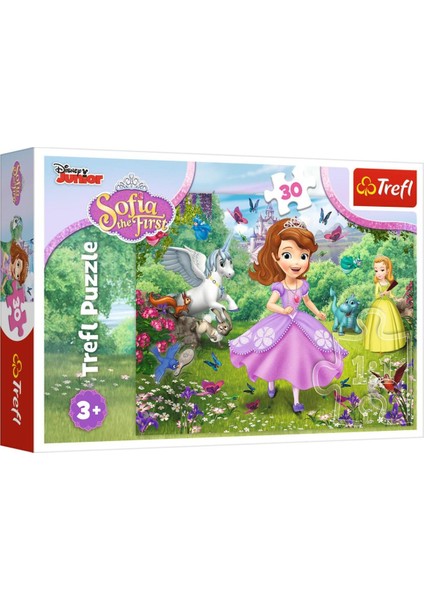 Puzzle Sophia In The Gardendisney Sophia The First 30 Parça Puzzle