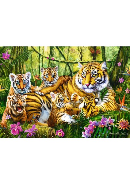 Puzzle Familyf Of  Tıger 500 Parça Puzzle