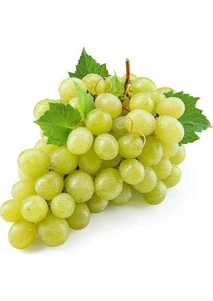 Beyaz Üzüm 500 gr