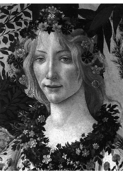 Phantastische Tierwesen Und Wo Sie Zu Finden Sind - J. K. Rowling