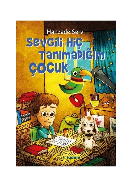 Sevgili Hiç Tanımadığım Çocuk - Hanzade Servi