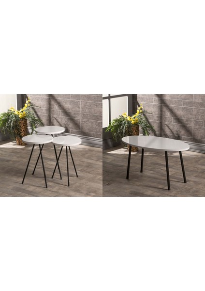 Mobilya Aksesuar ZİGON SEHPA VE ORTA SEHPA SET METAL ELİPS BEYAZ