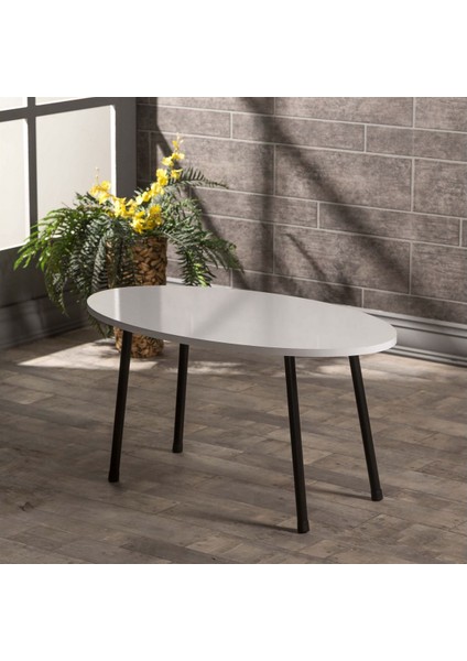 Mobilya Aksesuar ZİGON SEHPA VE ORTA SEHPA SET METAL ELİPS BEYAZ modelleri