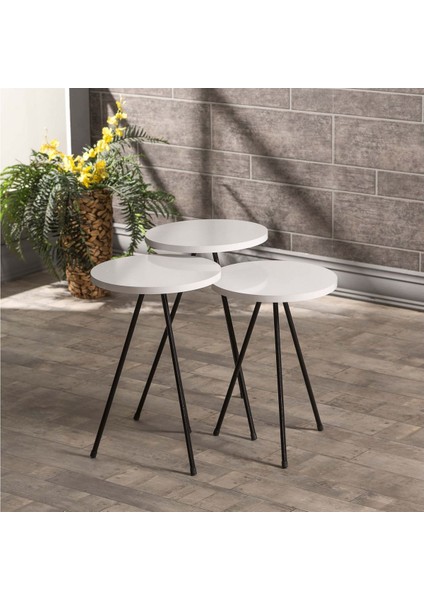 Mobilya Aksesuar ZİGON SEHPA VE ORTA SEHPA SET METAL ELİPS BEYAZ fırsatları