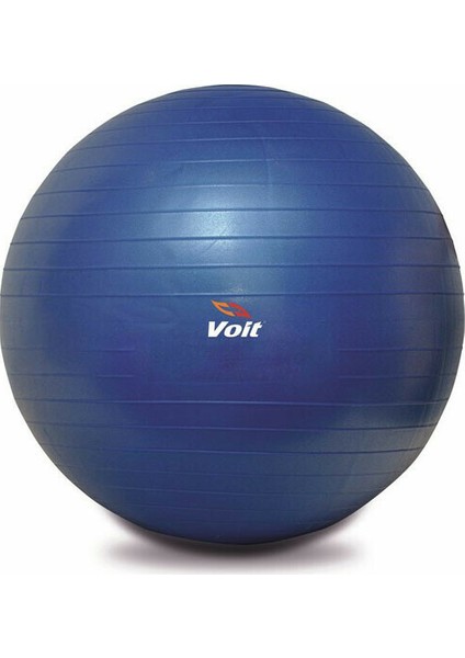 Gymball Mavi Pompalı 55 cm