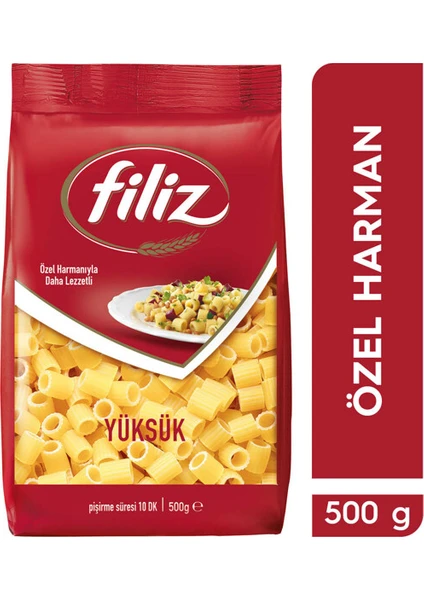 FİLİZ MAKARNA YÜKSÜK 500 GR