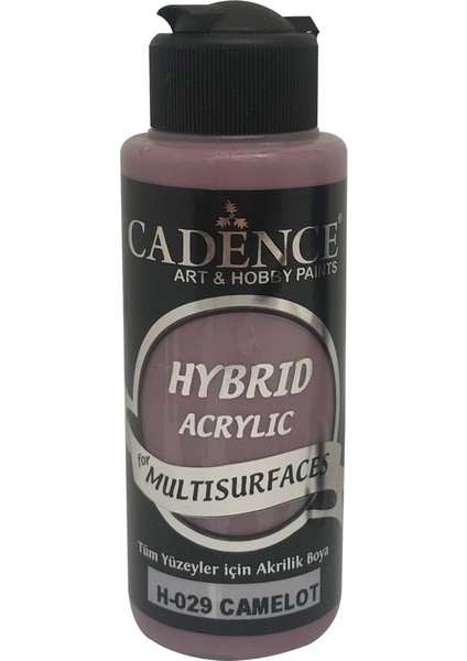 H029 Camelot - Multisurfaces 120ML