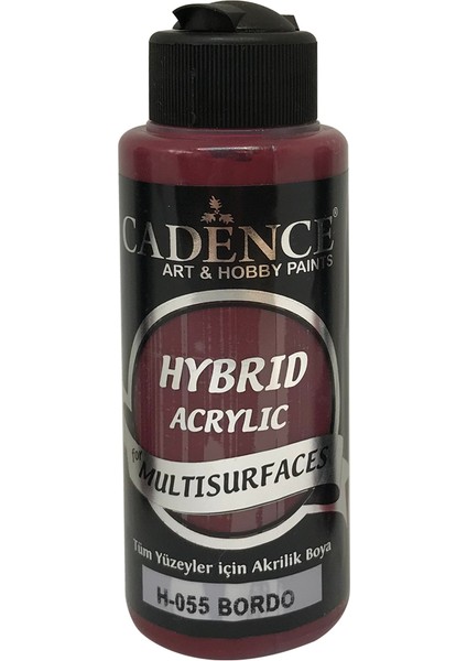 H055 Bordo - Multisurfaces 120ML