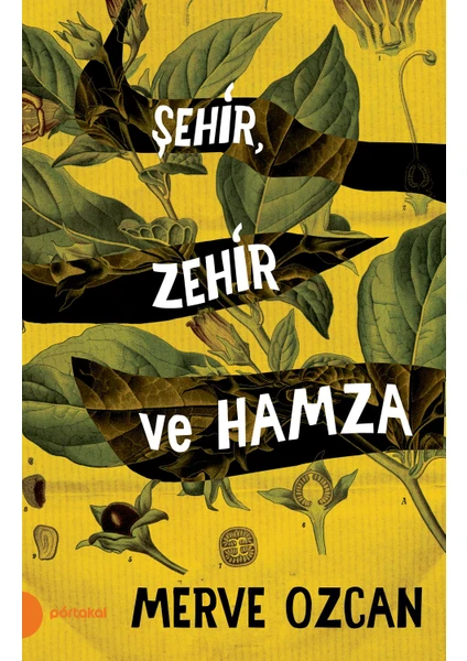 Şehir Zehir Ve Hamza - Merve Özcan