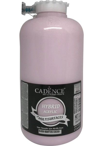 Hibrit Multisurface Boya 2 Litre H026 Kaktüs Çiçeği