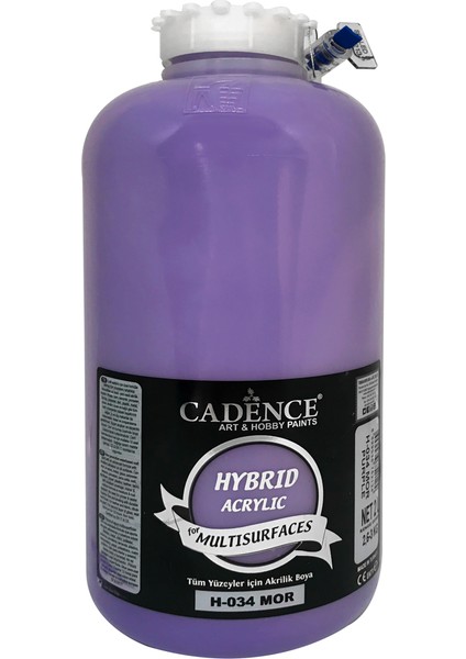 Hibrit Multisurface Boya 2 Litre H034 Mor