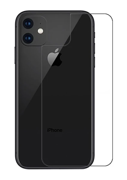 AL-31298 Apple iPhone 11 Tempered Kırılmaz Arka Cam Koruyucu