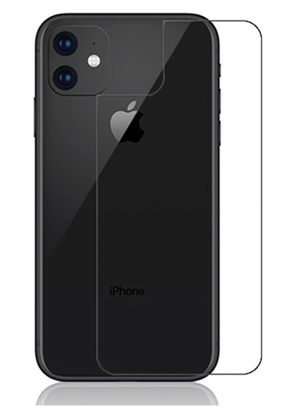 AL-31298 Apple iPhone 11 Tempered Kırılmaz Arka Cam Koruyucu