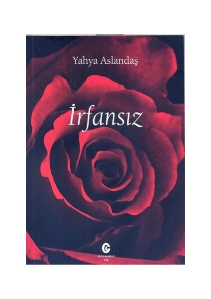 İrfansız