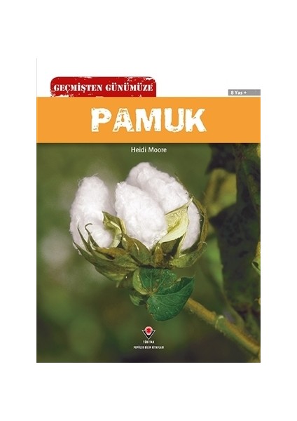 Geçmişten Günümüze - Pamuk