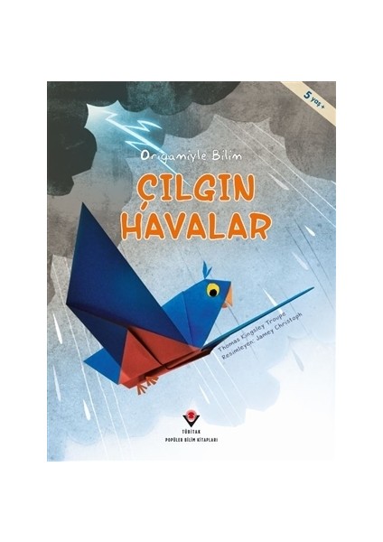 Çılgın Havalar - Origamiyle Bilim