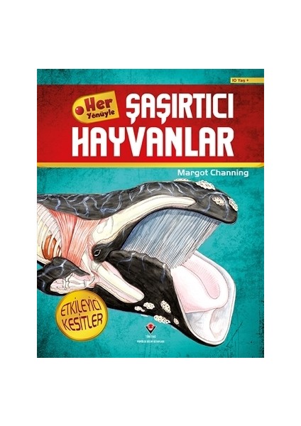 Her Yönüyle Şaşırtıcı Hayvanlar
