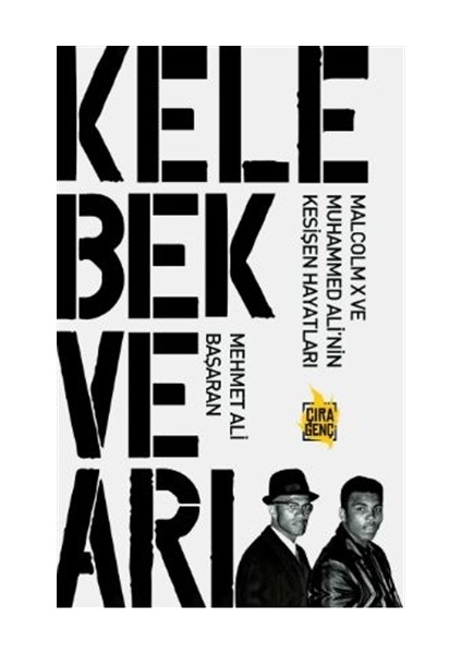 Kelebek ve Arı