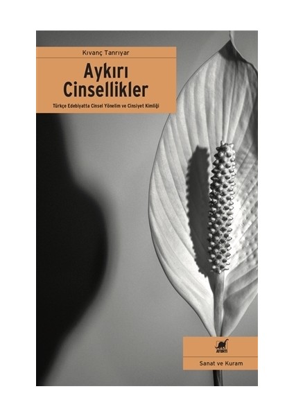 Aykırı Cinsellikler