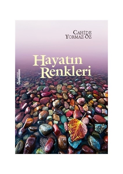 Hayatın Renkleri