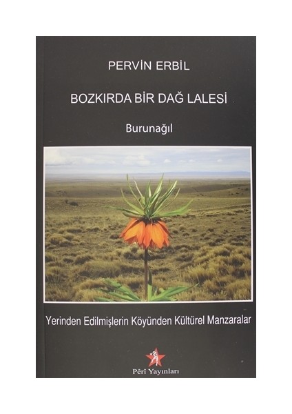 Bozkırda Bir Dağ Lalesi