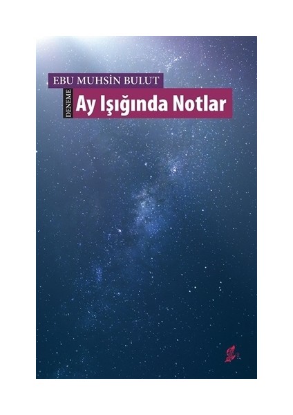 Ay Işığında Notlar