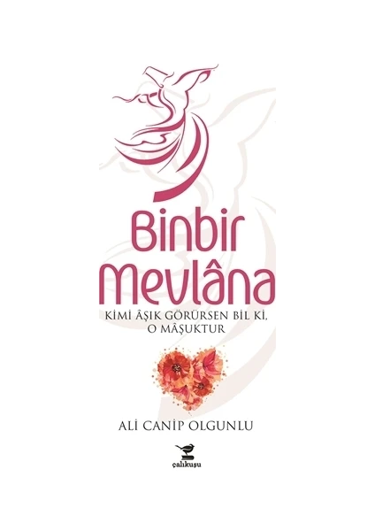 Binbir Mevlana