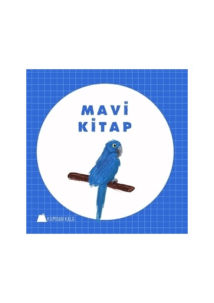 Mavi Kitap