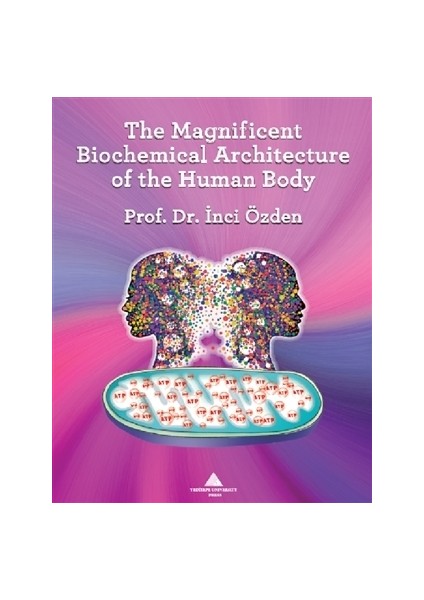 The Magnificent Biochemical Architecture of the Human Body