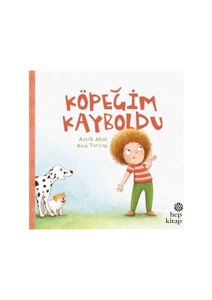 Köpeğim Kayboldu