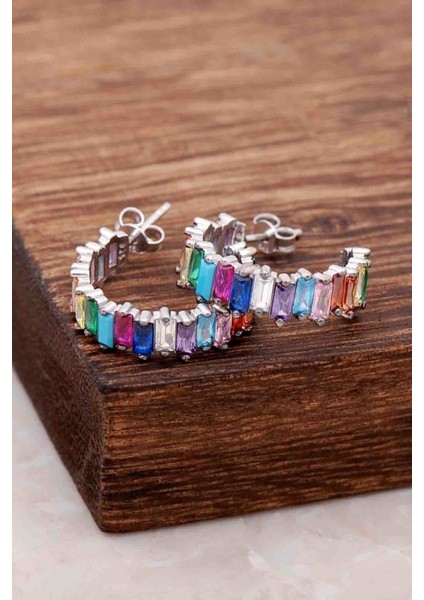 Baget Mix Taşlı Tasarım Gümüş Küpe 4077 fiyatları