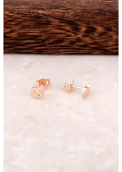 Ay Yıldız Rose Gümüş Tasarım Mini Küpe 4342