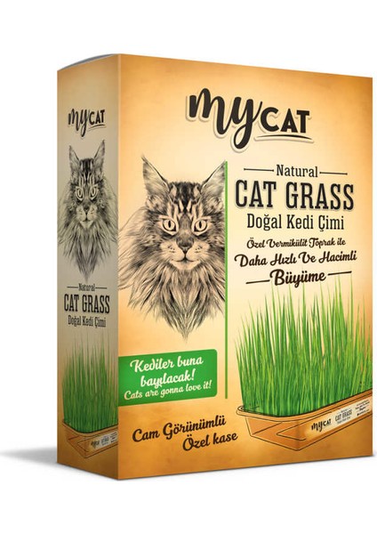 Mycat Doğal Kedi Çimi