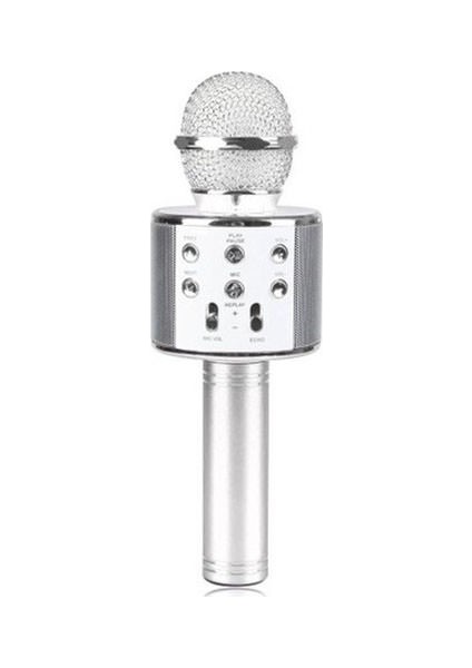EVR KRK 02 Karaoke Mikrofon Silver