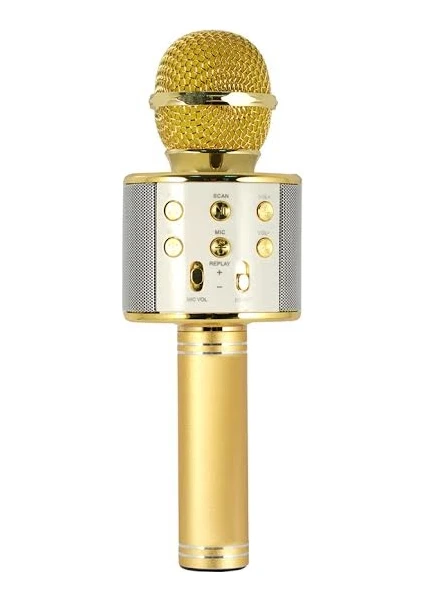 EVR KRK 02 Karaoke Mikrofon Gold