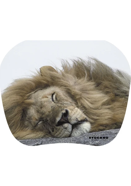 MPBOX-REF-31 Natura Mouse Pad Uyuyan Aslan