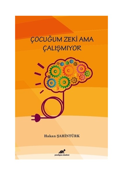 Çocuğum Zeki Ama Çalışmıyor