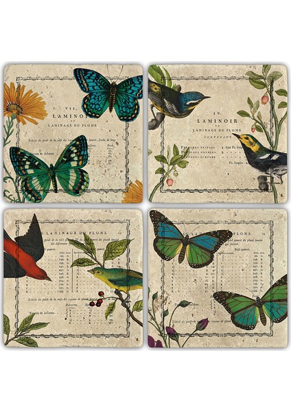 Doğaltaş Bardak Altlığı 4'lü Set 10 x 10 cm