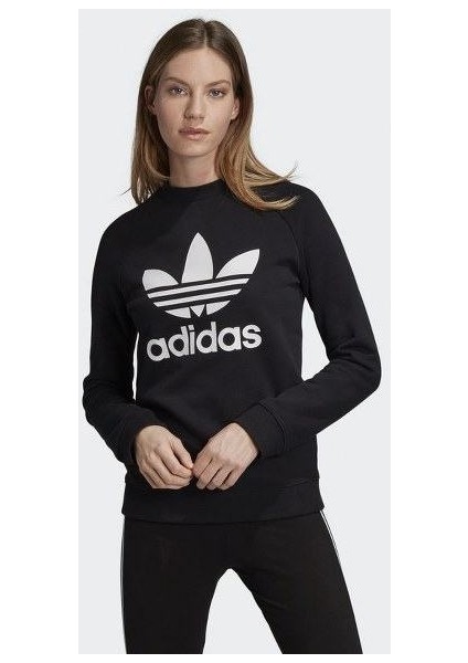 Kadın Giyim Sweatshirts DV2612