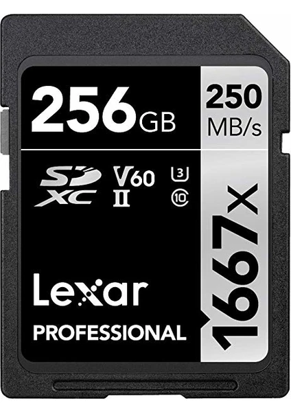 256GB Professional 1667X Sdxc Uhs-Iı