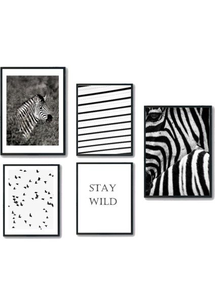 Zebra Temalı Siyah Beyaz 5'li Tablo Seti